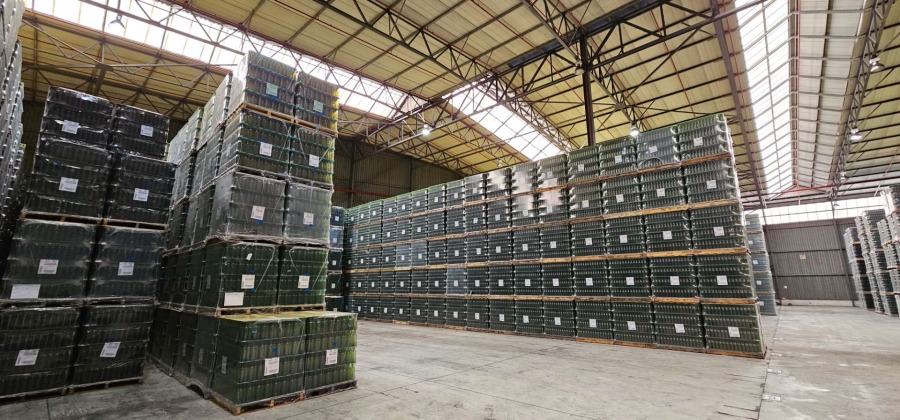 To Let commercial Property for Rent in Parow Industrial Western Cape